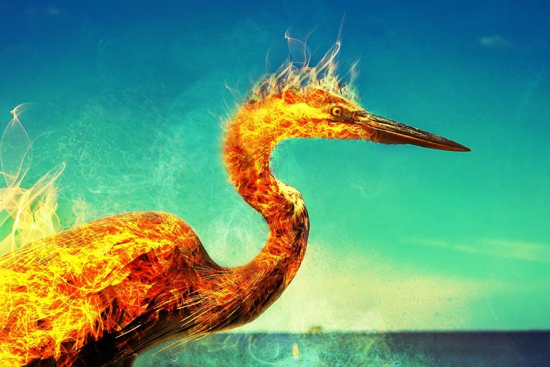 Phoenix Feathers